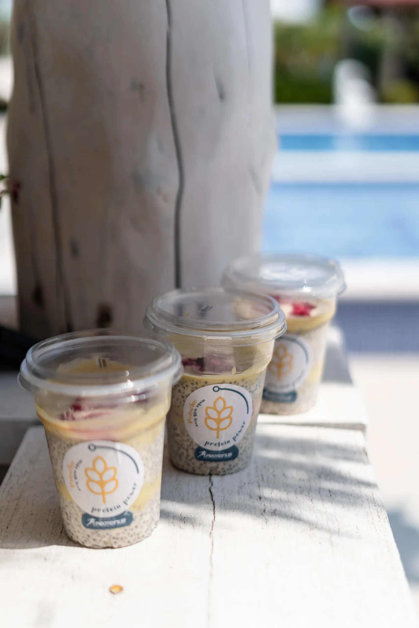 Oatmeal powered by proteini.si