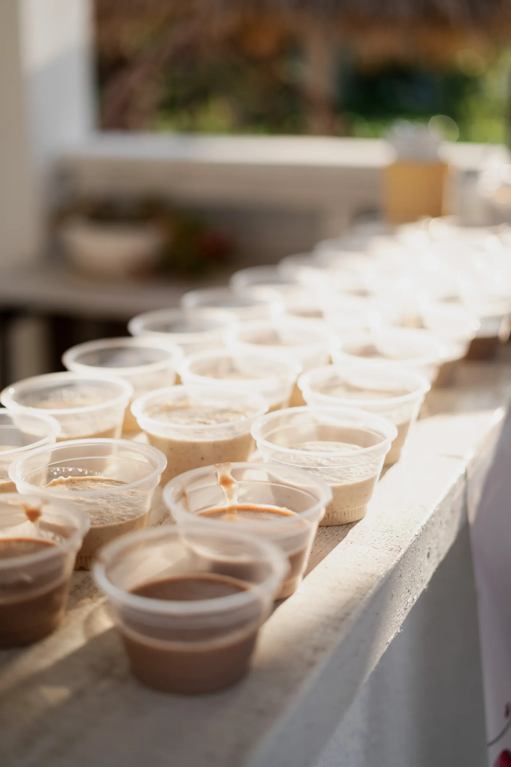 Oatmeal powered by proteini.si