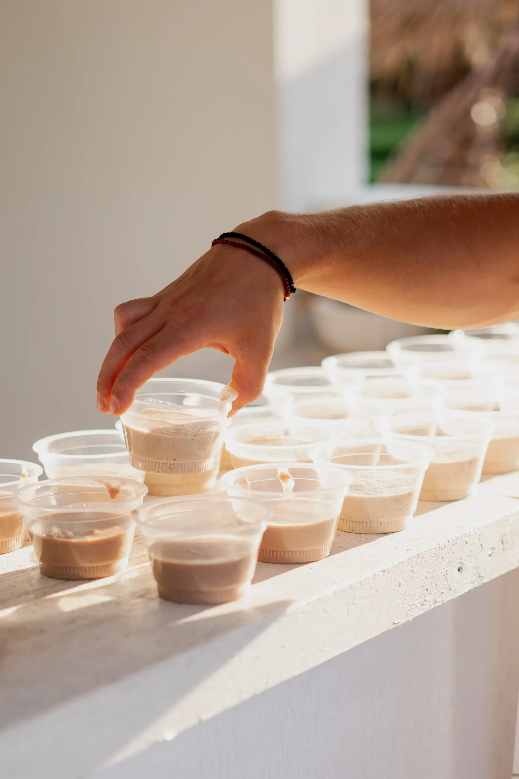 Oatmeal powered by proteini.si