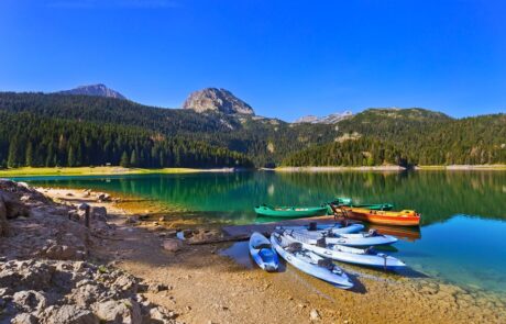 WhatsApp Image 2026-01-09 at 18.07.30 (1)