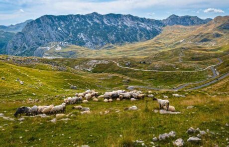 WhatsApp Image 2026-01-09 at 18.07.30